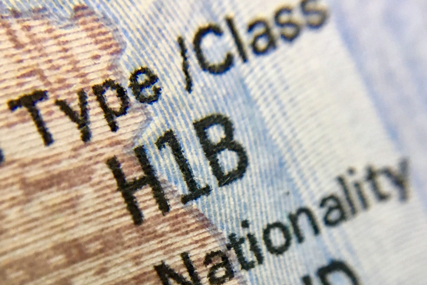 H1-B Visa