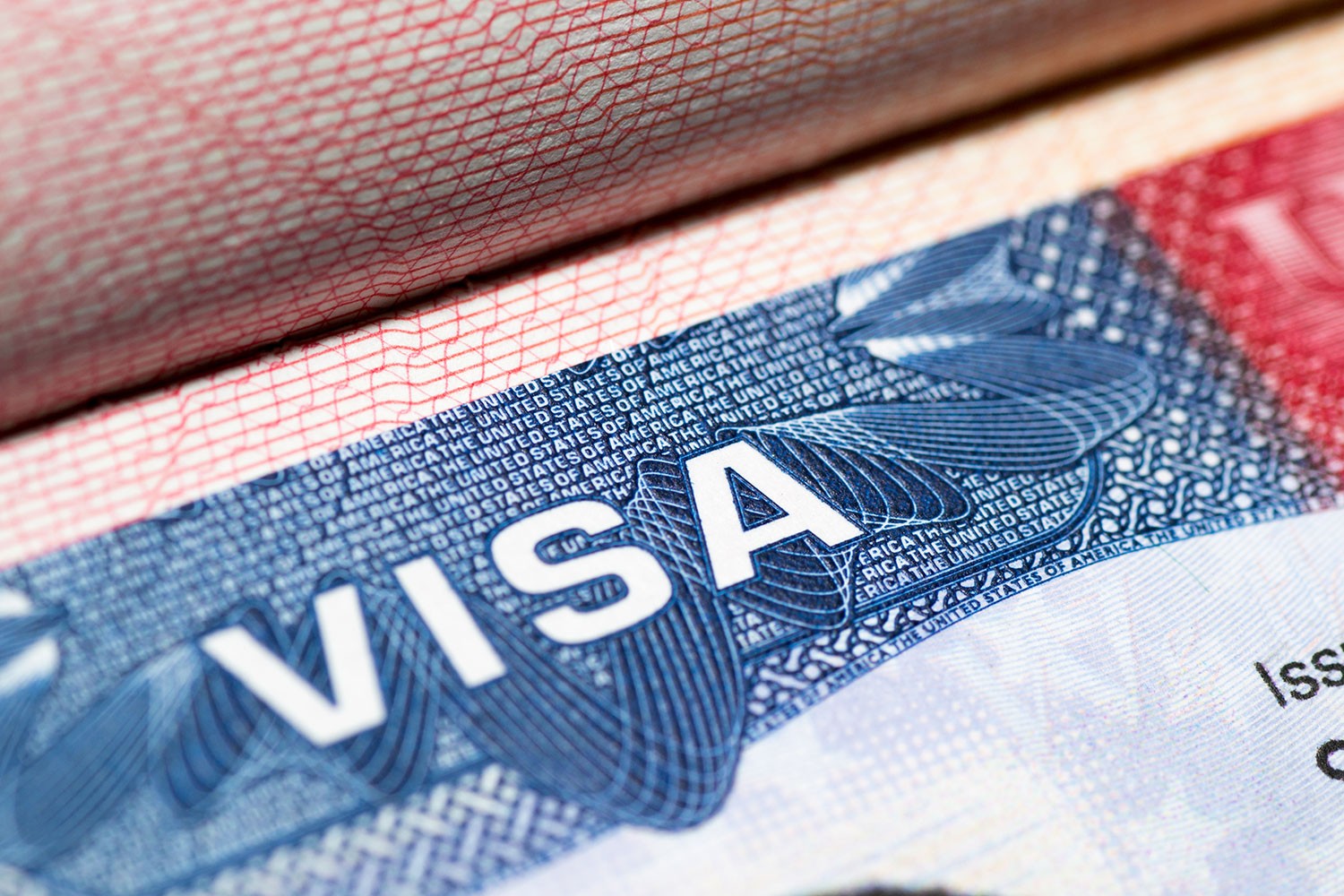 immigration visa waiver program